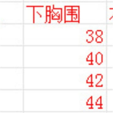 大码组1L2L3L4L欧美大版亚马逊外贸TK跨境希音temu内衣女聚拢文胸